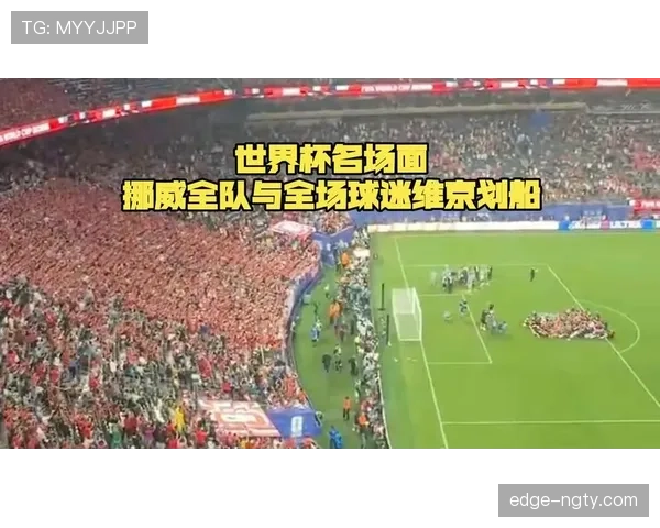 挪威世界杯球迷关注焦点